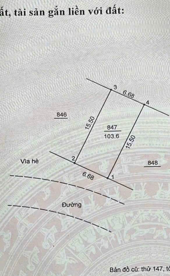 Đất nền phân lô Di Trạch Hoài Đức 103m² giá 14.6 tỷ - Vị trí đẹp, đầu tư sinh lời!