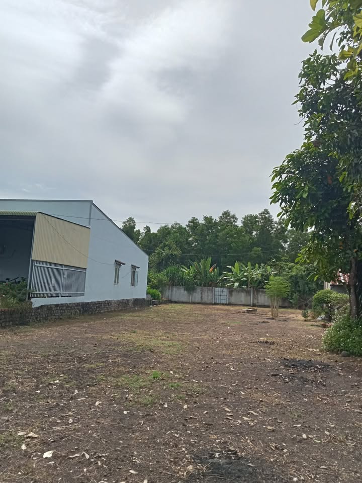 Đất nền Gia Canh Định Quán 300m² giá 1.5 tỷ - Tiềm năng phát triển cao!