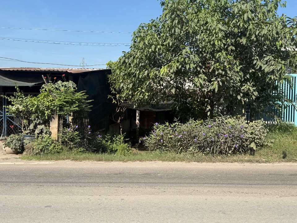 Nhà cấp 4 mặt tiền Tỉnh lộ 822, Đức Hòa 185m² giá 1.5 tỷ - Sổ hồng chính chủ!