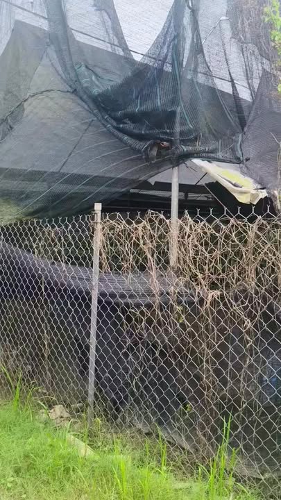 Đất nền Mỹ Hạnh Nam 40m² giá 550 triệu - Sổ hồng chính chủ, bớt lộc cho khách thiện chí!