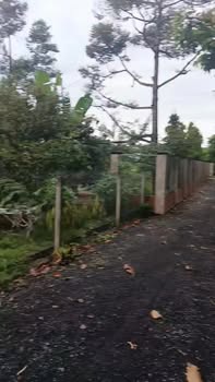 Đất nền Quảng Thành 1.9 sào (19000m²) - Cơ hội đầu tư tuyệt vời!