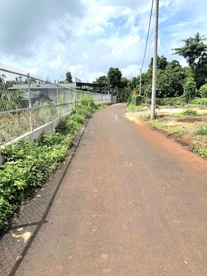 Đất nền Bàu Chinh, Châu Đức 1000m² giá 1.25 tỷ - Bán gấp, cơ hội đầu tư!