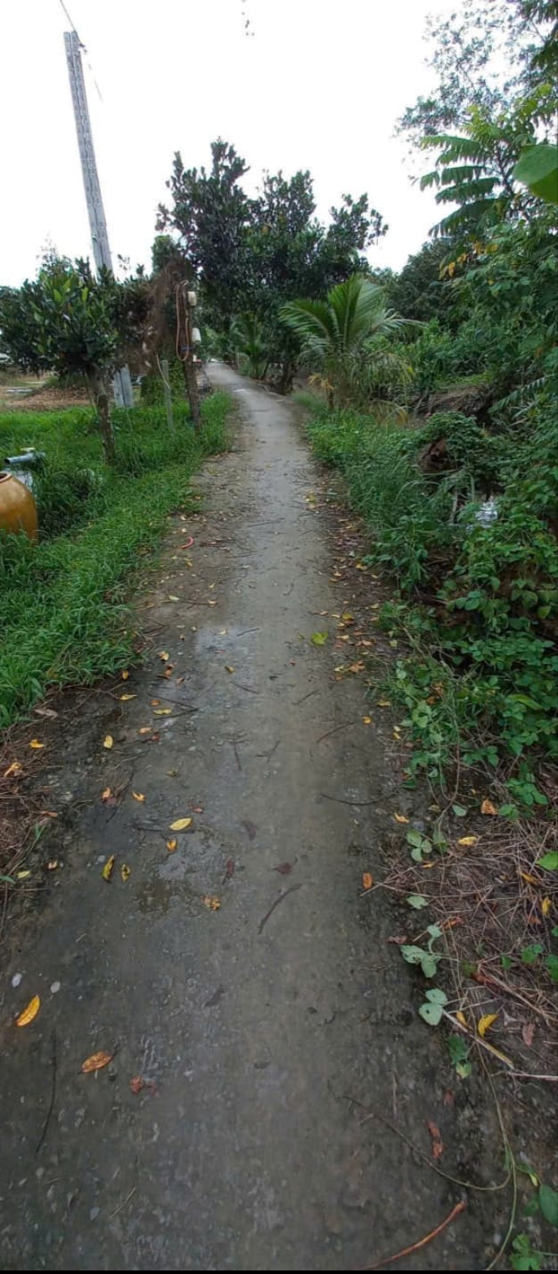 Đất Farm 4,6 Công Mỹ Phú, Tiền Giang - Giá Chỉ 2.53 Tỷ - Đang Phát Triển Tốt!