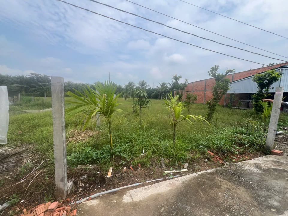 Đất nền Tân Mỹ Chánh Mỹ Tho 190m² giá 450 triệu - Cơ hội đầu tư tuyệt vời!