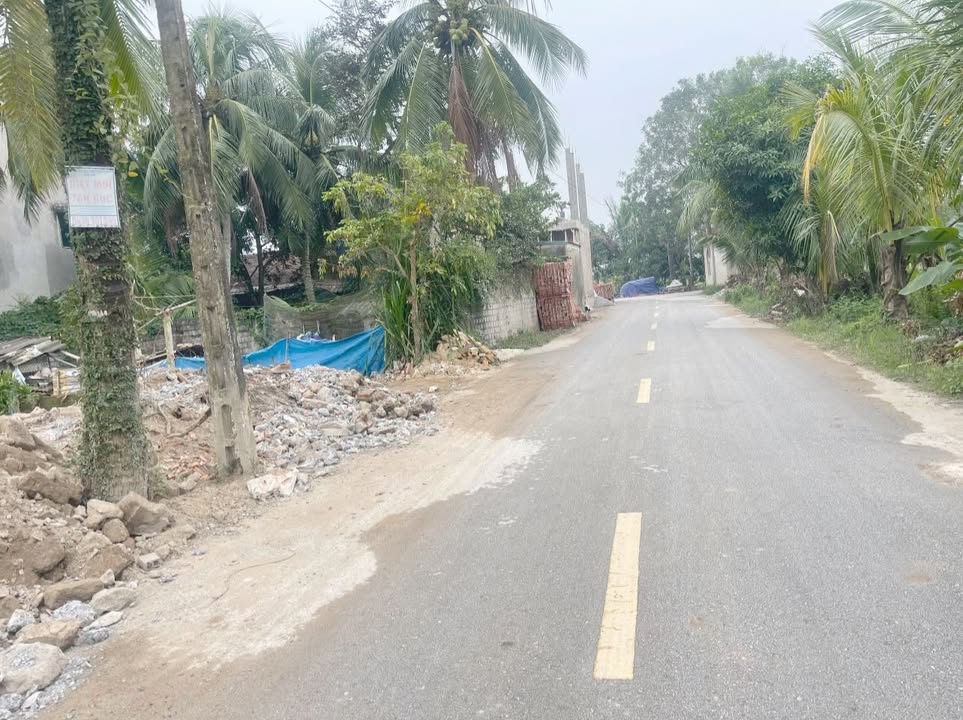 Đất thổ cư 87m² thôn Đồng Thịnh, Hoằng Lộc, giá 1 tỷ - Cơ hội hiếm có!