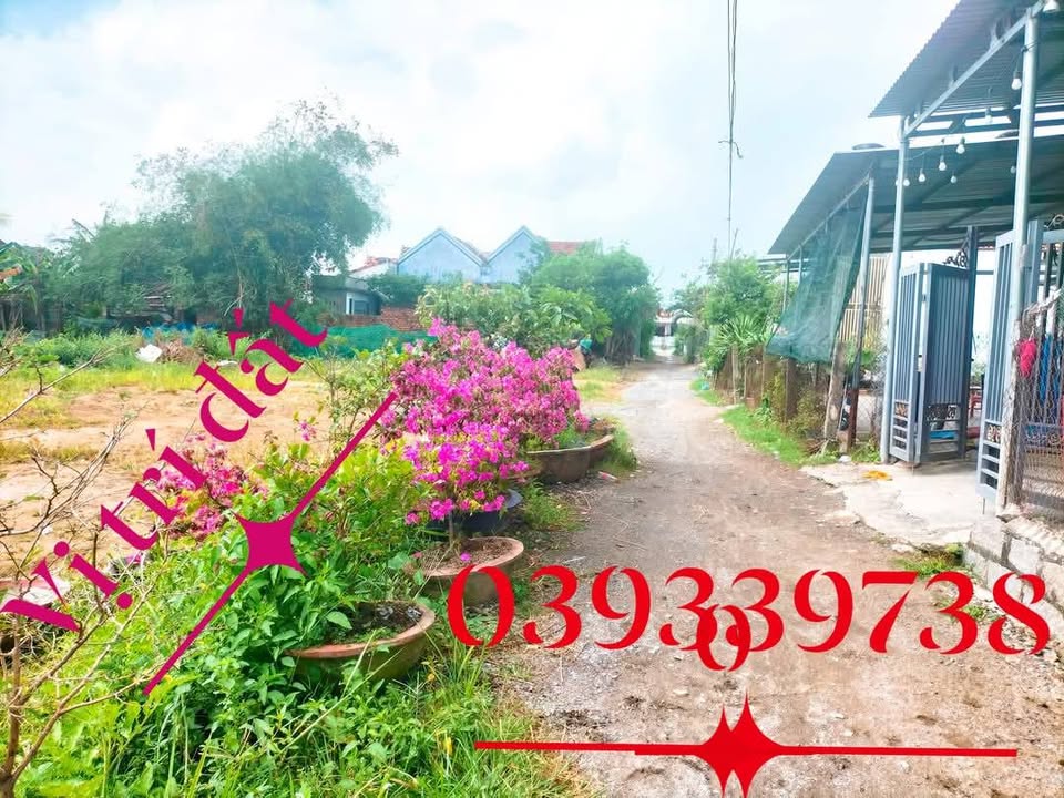 Đất thổ cư 444m² tại Tdp Hậu Phước, Ninh Hà - Đầu tư sinh lời ngay!