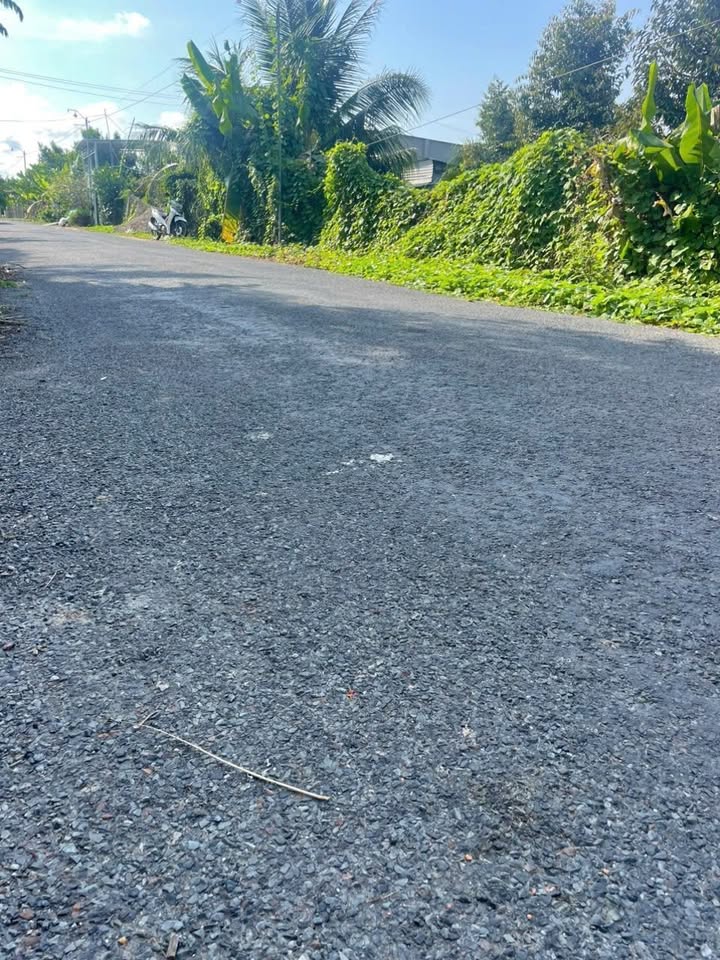 Đất nền lớn mặt tiền đường nhựa 1196m² - Tiềm năng đầu tư hấp dẫn tại Cái Vồn