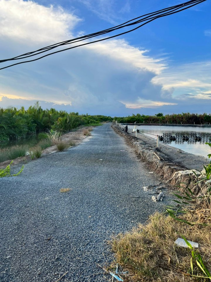 Đất thổ cư 300m² An Thới Đông, Cần Giờ 1100m² giá 7.1 tỷ - Cơ hội đầu tư hấp dẫn!