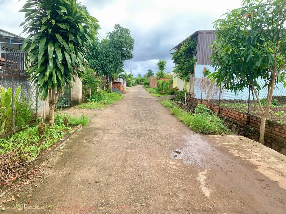 Đất nền Hòa Khánh Buôn Ma Thuột 315m² giá 1.39 tỷ - Cơ hội đầu tư tuyệt vời!