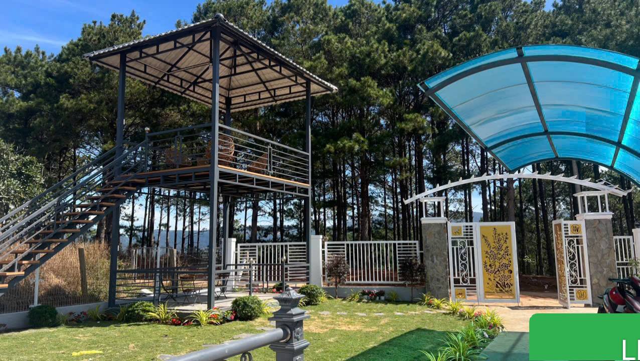 Villa Mê Linh Đà Lạt 1158m² giá 3.7 tỷ - View rừng thông tuyệt đẹp!