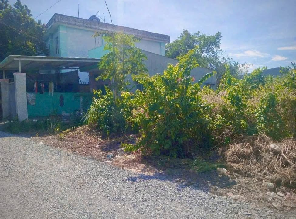 Đất đẹp Tân Thạnh Tây, Củ Chi 300m² giá 3.35 tỷ - Cơ hội đầu tư tuyệt vời!