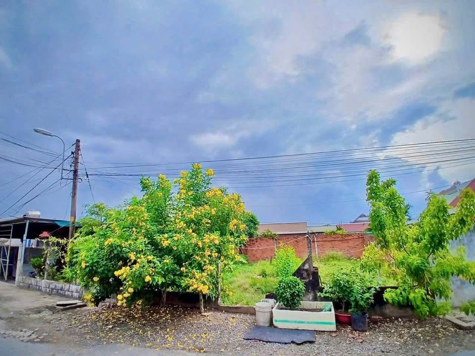 Đất mặt tiền đường 7A, Tân Thạnh Đông, Củ Chi 82m² - Đầu tư sinh lời ngay!