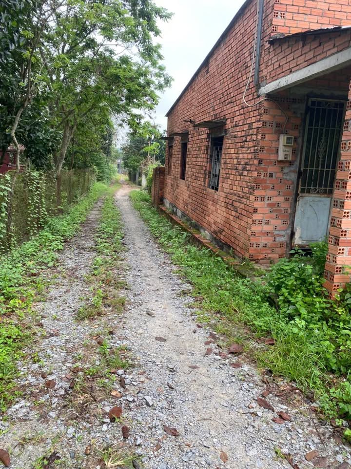 Đất nền Phú Mỹ Hưng, Củ Chi 250m² giá 400 triệu - Sổ hồng riêng, đầu tư sinh lời!