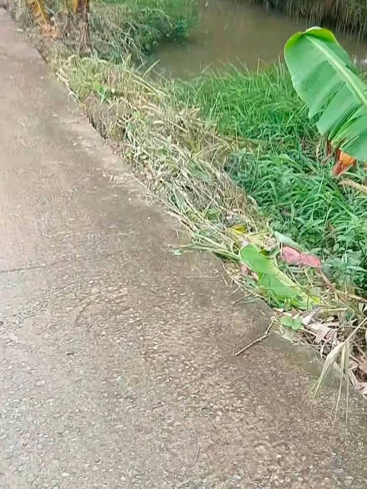 Đất nông nghiệp 4000m² tại Mỹ Lợi, Cái Bè - Giá chỉ 1.68 tỷ, thuận tiện trồng cây ăn trái!