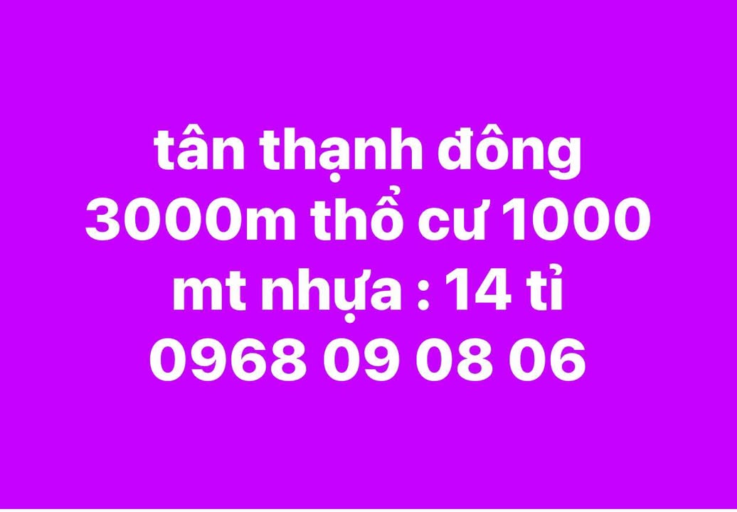 Đất mặt tiền đường Tân Thạnh Đông Củ Chi 3000m² giá 14 tỷ - Đầu tư sinh lời ngay!