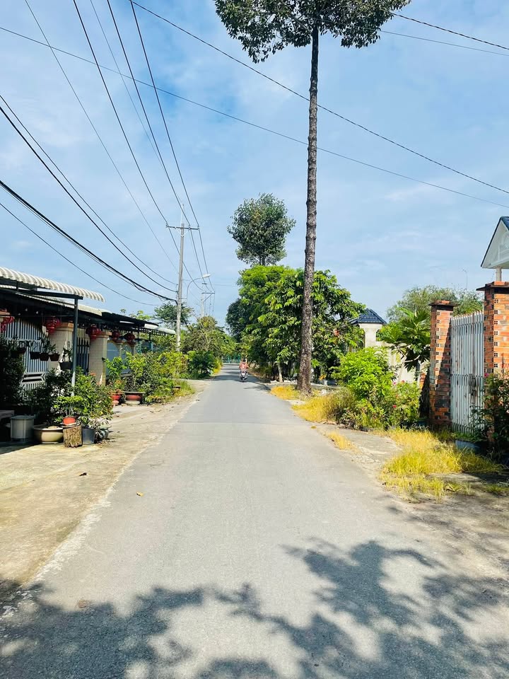 Đất thổ cư 723m² tại Củ Chi giá 4.4 tỷ - Gần khu dân cư đông đúc!