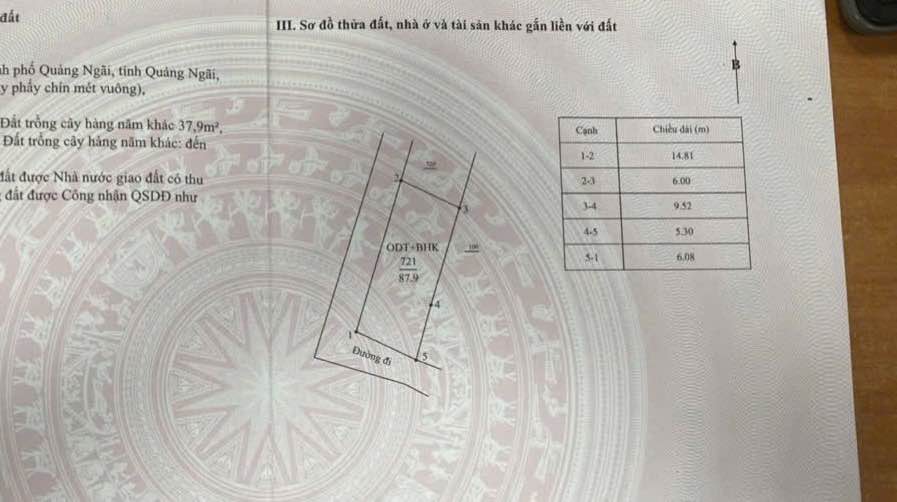 Đất lô góc Trương Quang Trọng 88m² chỉ 600 triệu - Cơ hội đầu tư tuyệt vời!