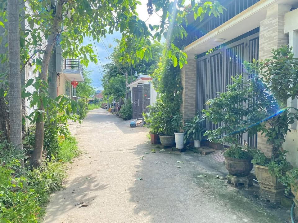 Đất Hẻm 164 Nguyễn Văn Linh 135m² giá 800 triệu - Đầu tư sinh lời ngay!