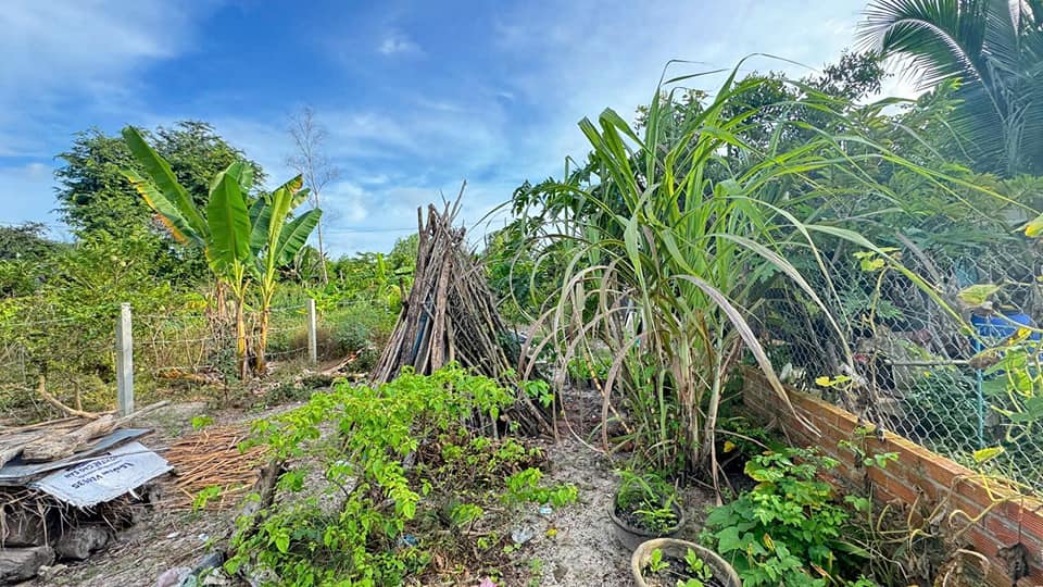 Đất nền Phước Hải 161m² giá 1 tỷ - Gần biển, mặt tiền đường nhựa