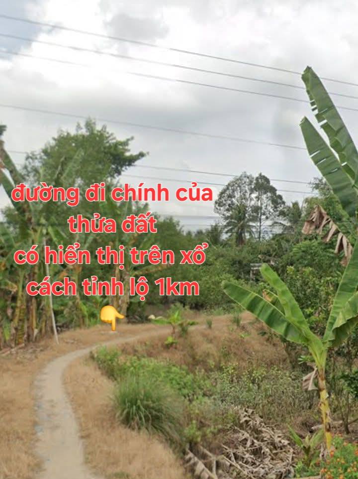 Đất thổ cư 300m² tại Tích Thiện, Trà Ôn - Giá 1.485 tỷ - Cơ hội đầu tư sinh lời!