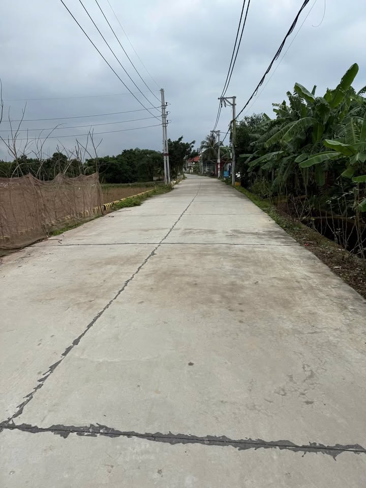 Đất nền Bạch Hạ, Phú Xuyên 99m² chỉ 1 tỷ - Gần chợ, giao thông thuận lợi!