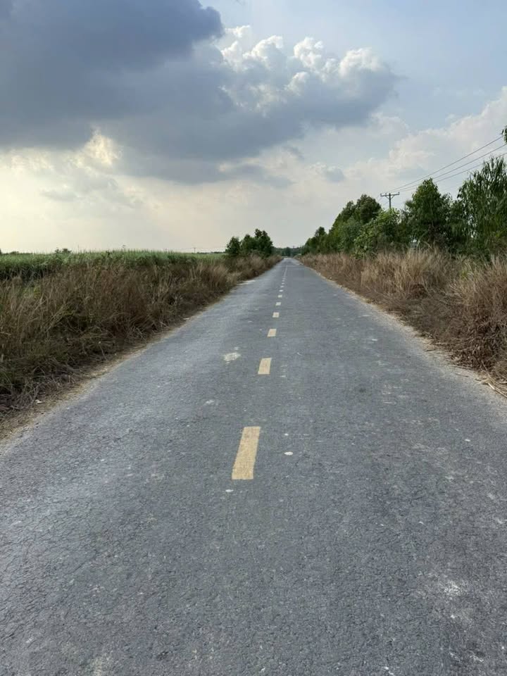 Đất Nền Ninh Điền Châu Thành 10.000m² giá 16.55 tỷ - Mặt tiền đường nhựa, thuận tiện đầu tư!