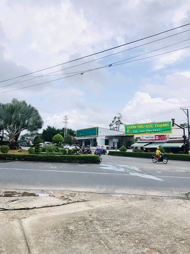 Đất nền Dương Tơ Phú Quốc 120m² giá 800 triệu - Đường ô tô vào tận nơi!