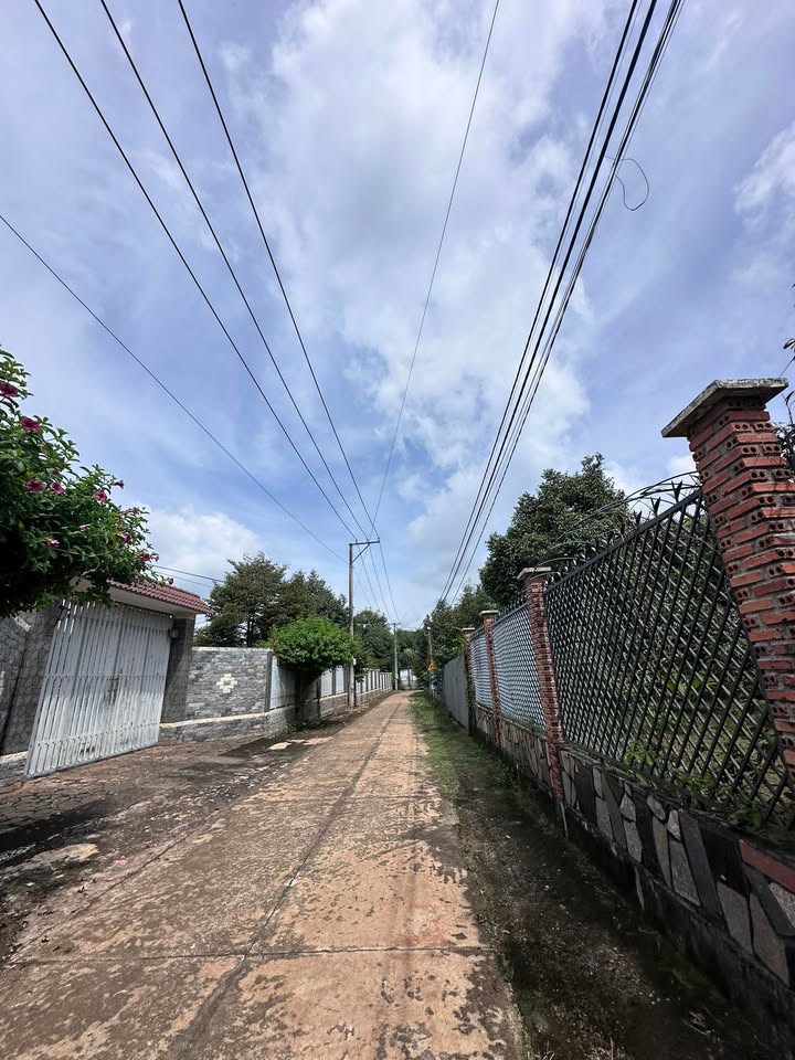 Đất nền Bình Lộc Long Khánh 110m² giá 250 triệu - Mặt tiền thuận lợi cho kinh doanh!