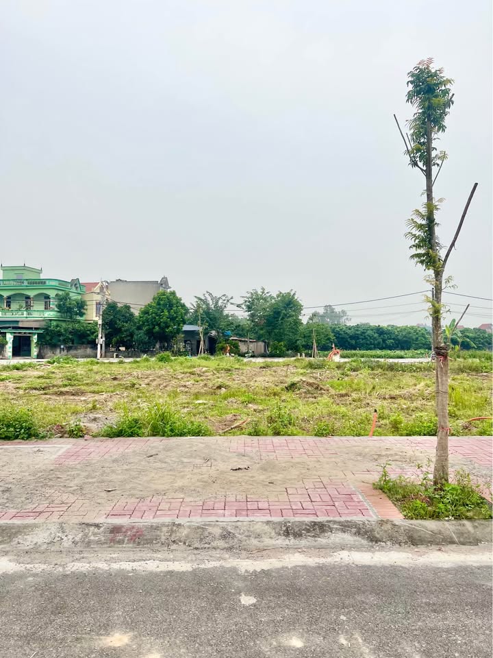 Đất nền KDCM Lam Sơn, Hưng Yên 80m² giá 3 tỷ - Gần trung tâm tiện ích!