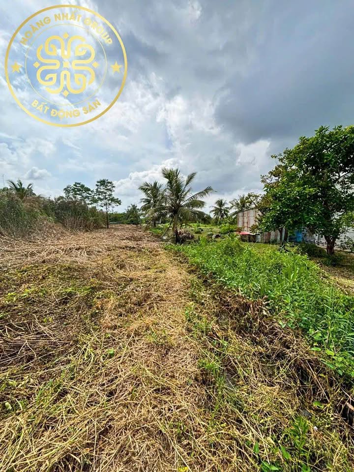 Đất thổ cư Lương Thế Trân, Cái Nước 956m² giá 95 triệu - Đầu tư sinh lời hấp dẫn!