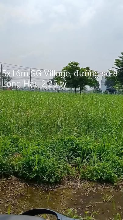Đất nền thổ cư SG Village Long Hậu 100m² giá 2.25 tỷ - Sổ đỏ chính chủ, xây dựng tự do!