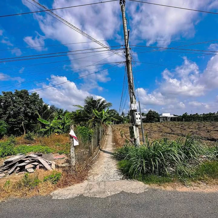 Đất thổ cư 1000m² tại Chợ Gạo - Đầu tư lý tưởng, giá thỏa thuận!