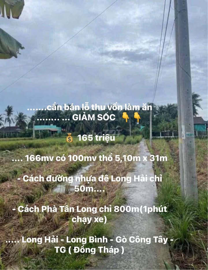 Đất nền Long Bình Gò Công Tây 166m² giá chỉ 165 triệu - Cơ hội đầu tư tuyệt vời!