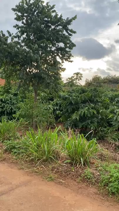 Đất nền Phú Xuân, Krông Năng 1287m² giá 3.668 tỷ - Đầu tư sinh lời ngay!