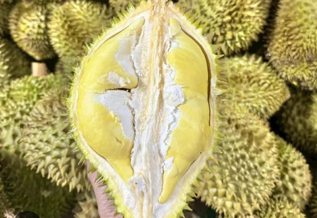 Đất thổ cư 360m² xã Thuận An giá 700 triệu - Cơ hội đầu tư tuyệt vời!