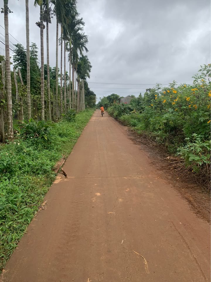 Đất thổ cư Cuôr Đăng 125m² giá 555 triệu - Tiềm năng sinh lời cao!