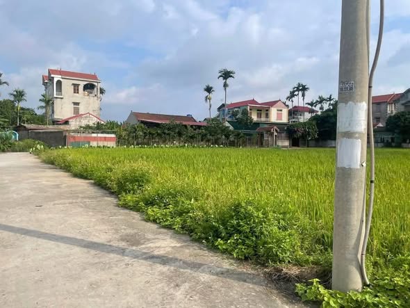 Đất thổ cư An Bình, Thuận Thành, 113m² giá thỏa thuận - Hướng Nam mát mẻ!