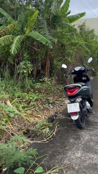 Đất nền 300m² phường 2, Gò Công chỉ 1.8 tỷ - Đường xe hơi vào tận nơi!