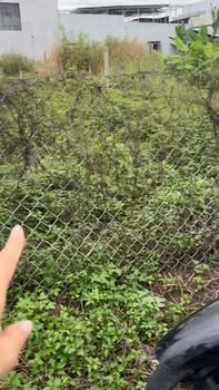 Đất nền Gò Công 160m² giá 1.2 tỷ - Gần chợ, trường học, trung tâm hành chính!