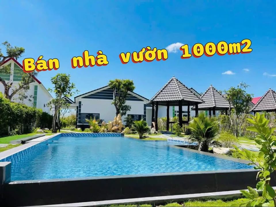 Đất nền Phước Hải 1000m² giá 5.99 tỷ - Cơ hội đầu tư hấp dẫn!