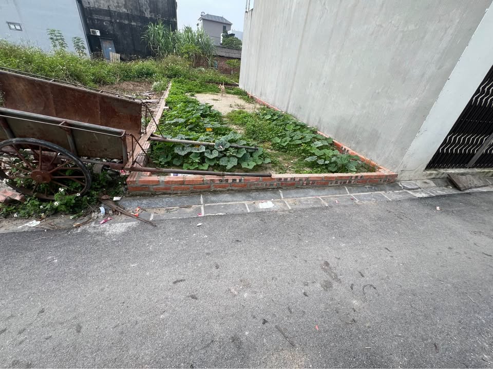 Đất nền Đình Trung, Xuân Nộn 40.7m² giá 2 tỷ - Ngõ thông thoáng, giao thông thuận tiện!