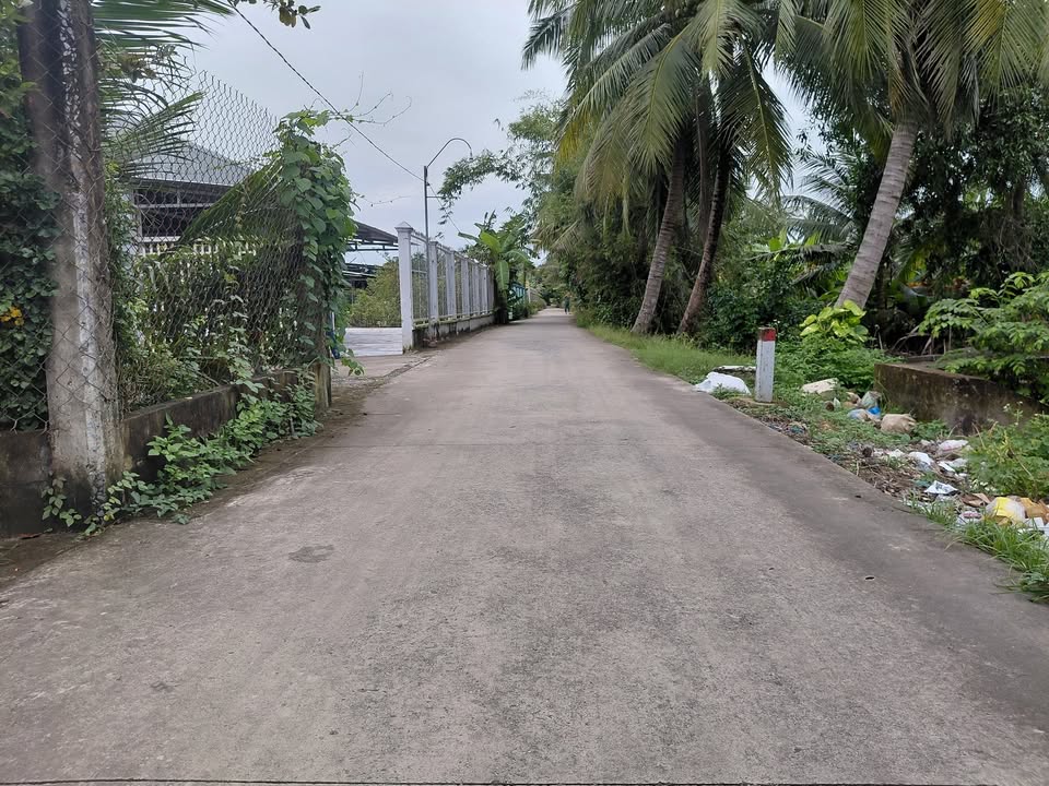 Đất nền 176m² tại ấp Mới, xã Long Định, Đồng Tháp - Giá chỉ 800 triệu, view sông mát mẻ!