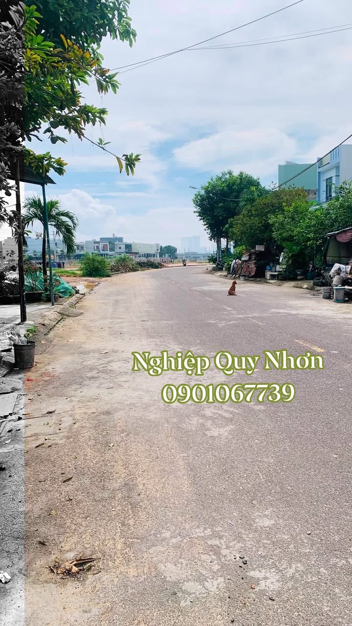 Nhà 2 Tầng Đống Đa Quy Nhơn 50m² giá 3 tỷ - Đầu tư sinh lời ngay!