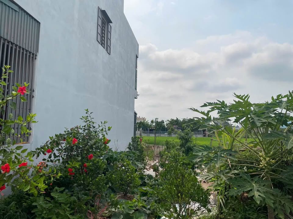 Đất nền Tiền Hải 90m² giá 1.3 tỷ - Sổ đỏ chính chủ, cơ hội đầu tư hấp dẫn!