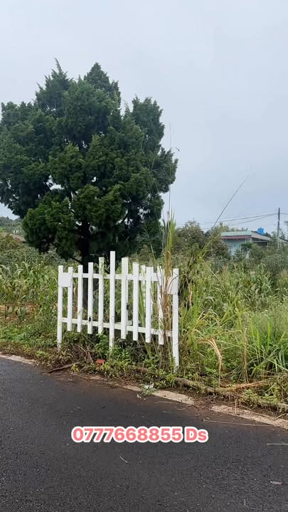 Đất nền 414 Trần Hưng Đạo, B'Lao, Bảo Lộc 1400m² giá 1.75 tỷ - Nền tảng phát triển lý tưởng!