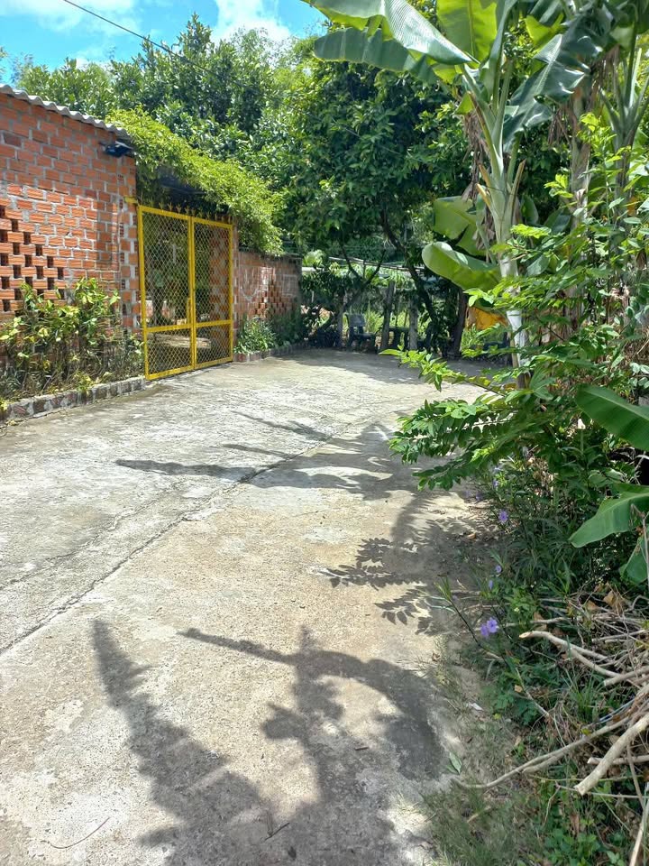 Đất thổ cư 140m² thôn Định Thiện Đông, Tuy Phước Bắc chỉ 500 triệu - Cơ hội đầu tư tuyệt vời!