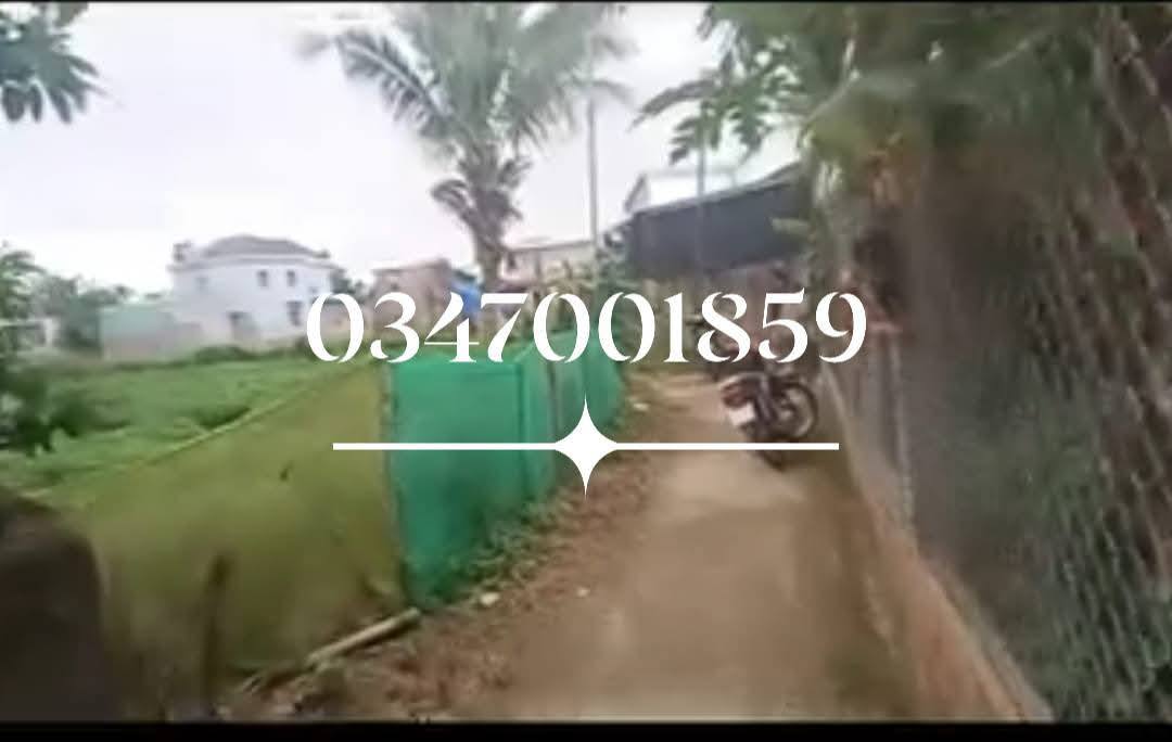 Đất nền Tuy Phước Đông 80m² giá 200 triệu - Gần khu dân cư sầm uất!