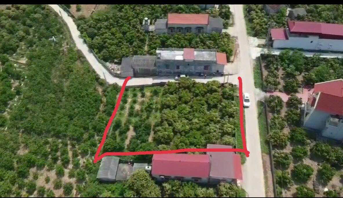 Đất nền Kiên Thành Lục Ngạn 555m² giá chỉ 2 tỷ - Đầu tư kinh doanh thuận lợi!