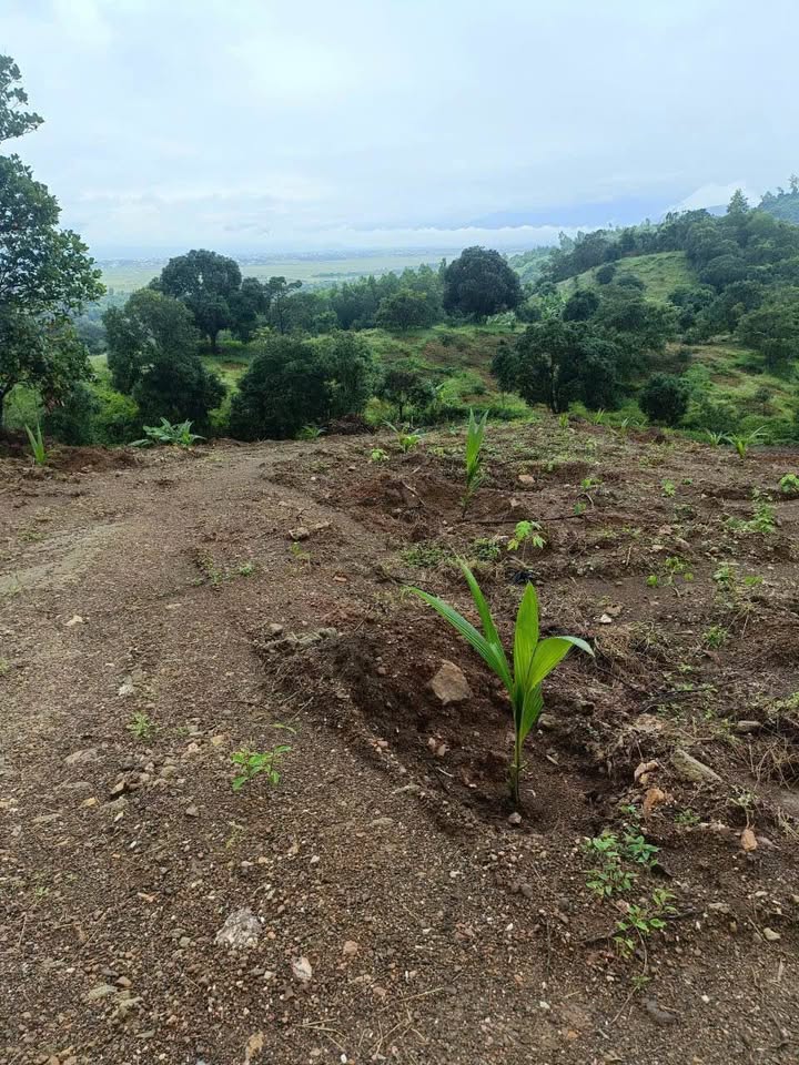 Đất vườn Diên Điền 14,000m² giá 2.2 tỷ - Cơ hội đầu tư sinh lời!