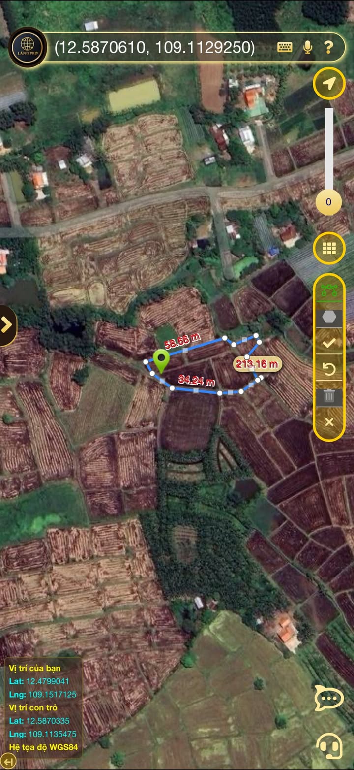 Đất Ninh An 16.000m² giá chỉ 140 triệu - Cơ hội đầu tư tuyệt vời!